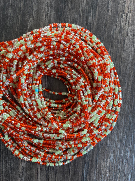 Multi-Colored ~ Waist Bead