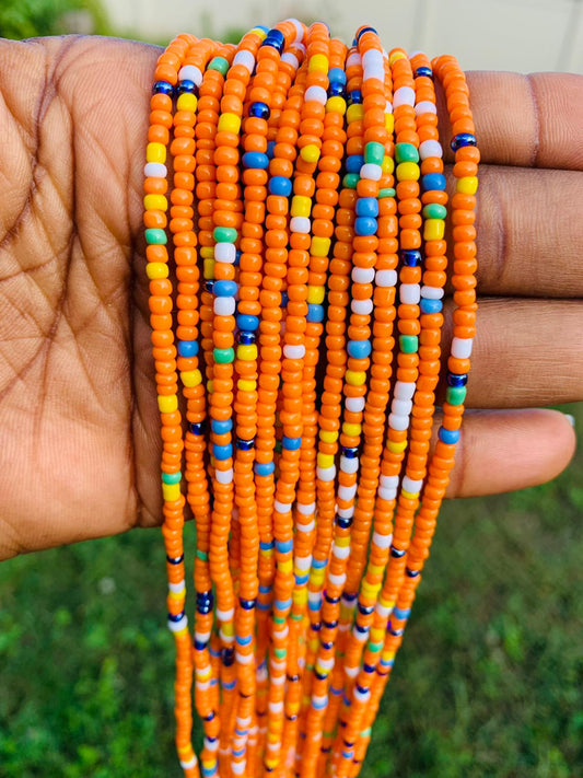 Multicolored ~Waist Bead